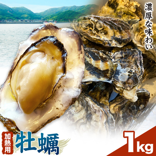 笠岡産 冷凍殻付き牡蠣 加熱用 1kg 15〜20粒