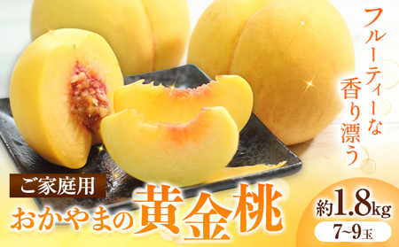 ご家庭用 おかやまの黄金桃 約1.8kg(7〜9玉)(令和6年産先行予約:8月下旬から出荷予定)