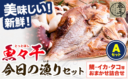 魚々干 今日の漁りセット Aセット 灰干し 鯛 イカ タコ 特定非営利活動法人 かさおか島づくり海社[45日以内に出荷予定(土日祝除く)]岡山県 笠岡市 魚 さかな 干し おまかせ 詰め合わせ 天然魚介 魚介