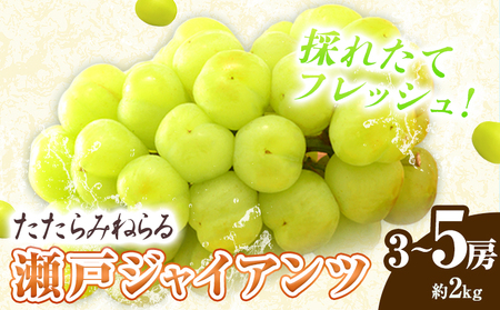 ys\z݂˂ ˃WCAc2kgi3`5[j YG.fBXgr[^[Ёs2026N8{-10{oח\tR }s }XJbg Ԃǂ uhE  t[