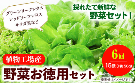 5-03 植物工場産野菜・お徳用6セット(6ヶ月契約)1セット×6回