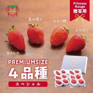 しあわせ届けるいちご農園HappyComeComeのいちご4品種スペシャルセット[12月中旬-3月下旬頃出荷]