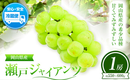ぶどう 葡萄 岡山県産 瀬戸ジャイアンツ 1房 (約550g〜600g) 佐々木農園[8月中旬-9月末頃出荷]岡山県 笠岡市 送料無料 マスカット フルーツ 果物 ブドウ 瀬戸 ジャイアンツ 希少品種 お取り寄せフルーツ[配送不可地域あり]