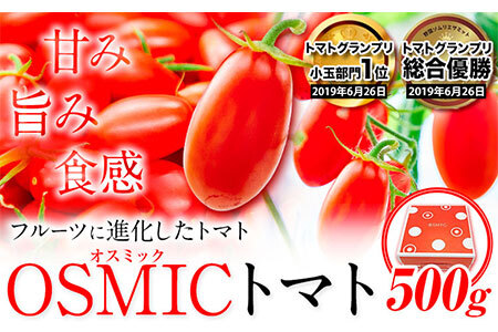 高糖度トマト OSMIC(オスミック)トマト 500g 株式会社ジェイ・イー・ティ・アグリ 甘い トマト フルーツトマト ミニトマト 野菜