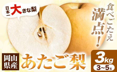 H-38　 岡山県産 あたご梨　3kg （3玉～5玉） 令和6年度産先行受付