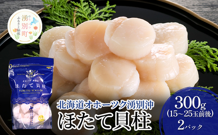 [数量限定!]北海道オホーツク湧別沖 ほたて 玉冷 小分け パック 600g(300g×2P)[ ホタテ 帆立 ほたて スタンドパック 海鮮 刺身 貝 貝柱 魚介 魚介類 冷凍 北海道 湧別町 ]