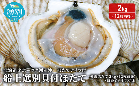 �k�C�� �I�z�[�c�N �N�ʉ� �D�� �I�� �L�t �ق��� 2kg�i12���O��j�z�^�e�i�C�t�t ���� �h�g �C�N ���� ���Y �k�t�� �① �T���}�� ���L�� ������ ���h�g ���H