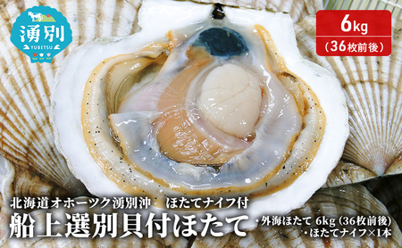 �k�C�� �I�z�[�c�N �N�ʉ� �D�� �I�� �L�t �ق��� 6kg�i36���O��j�z�^�e�i�C�t�t ���� �h�g �C�N ���� ���Y �k�t�� �① �T���}�� ���L�� ������ ���h�g ���H