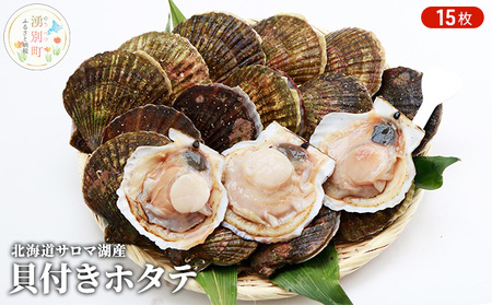 【国内消費拡大求む】先行予約 北海道 サロマ湖産　貝付き ホタテ 15枚 帆立 ほたて 刺身 海鮮 魚介 国産 殻付き 冷蔵 オホーツク 魚貝類 貝付きホタテ 