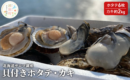 [国内消費拡大求む]北海道サロマ湖産 貝付きホタテ6枚・カキ約2kg