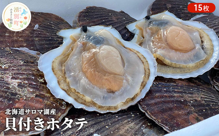 【国内消費拡大求む】先行予約 北海道 サロマ湖産　貝付き ホタテ 15枚 帆立 ほたて 刺身 海鮮 魚介 国産 殻付き 冷蔵 オホーツク 魚貝類 貝付きホタテ 魚介類
