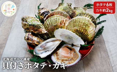 北海道サロマ湖産 貝付きホタテ6枚・カキ約2kg 魚貝類 生牡蠣 かき 帆立 ほたて セット 詰合せ 海鮮