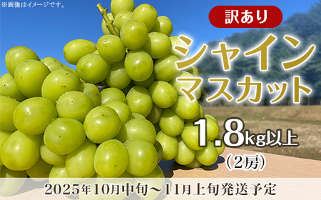 【訳あり】シャインマスカット 2房（1.8kg以上）【2025年10月中旬～11月上旬発送予定】（星のさと・ぶどう工房）