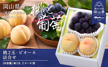岡山県産「白桃・ニューピオーネ」詰合せ 約1.0kg