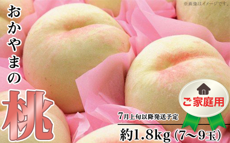 【ご家庭用】おかやまの桃 約1.8kg（7～9玉）【26年7月下旬以降に順次発送】