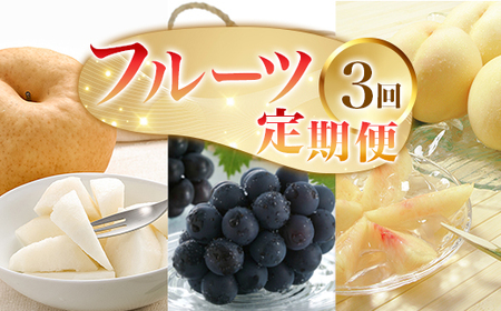 フルーツ 定期便 3回 フルーツ 定期便 先行予約 桃 ぶどう 梨 3回(岡山白桃・ピオーネ・あたご梨)