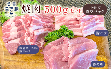 美星満天豚 焼肉 500gセット(豚肩ロース又は豚ロース、豚バラ、豚モモ)小分け真空パック