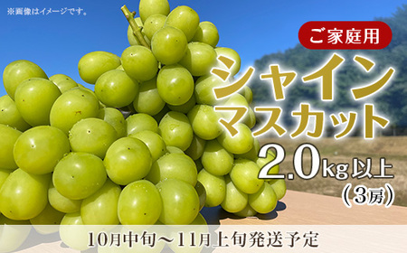 y󂠂zVC}XJbg3[i2.0kgȏjy2026N10{`11{\zîƁEԂǂH[j