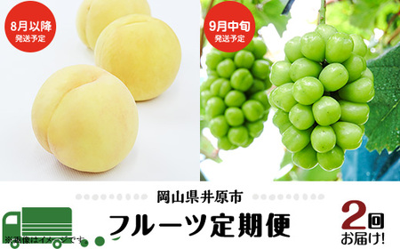 �t���[�c ����� �N2�� 2026�N ��s�\�� ���R ���� �V���C���}�X�J�b�g ���� �Ӑ��� �{ �ʕ� ���R���Y �Ԃǂ� ���� �����