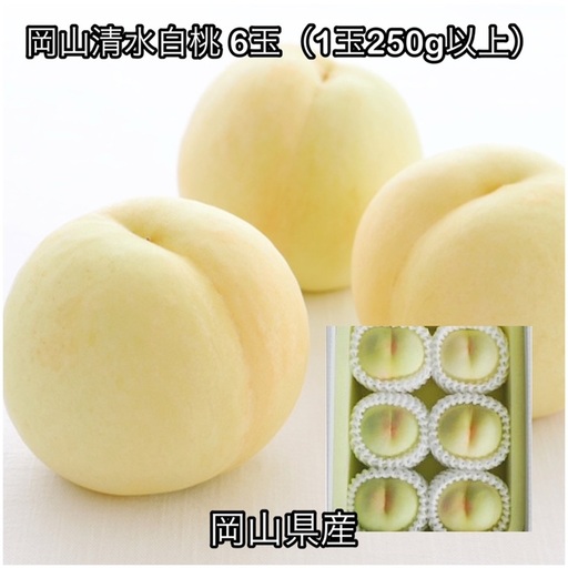 岡山清水白桃 6玉(1玉250g以上)化粧箱入り岡山県産