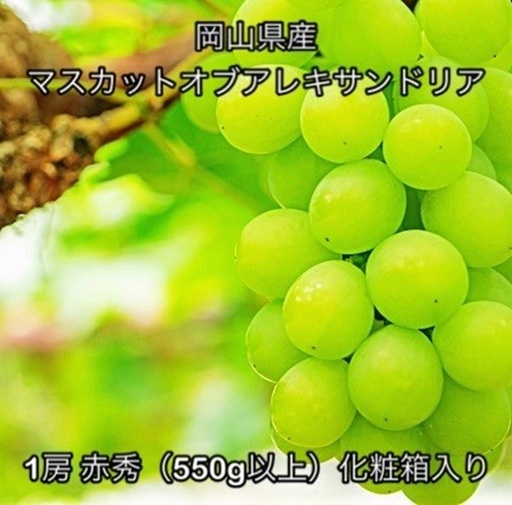 マスカットオブアレキサンドリア1房 赤秀 (550g以上)化粧箱入り岡山県産