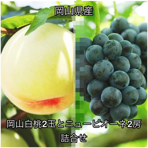 岡山白桃2玉とニューピオーネ2房 詰合せ 化粧箱入り 岡山県産