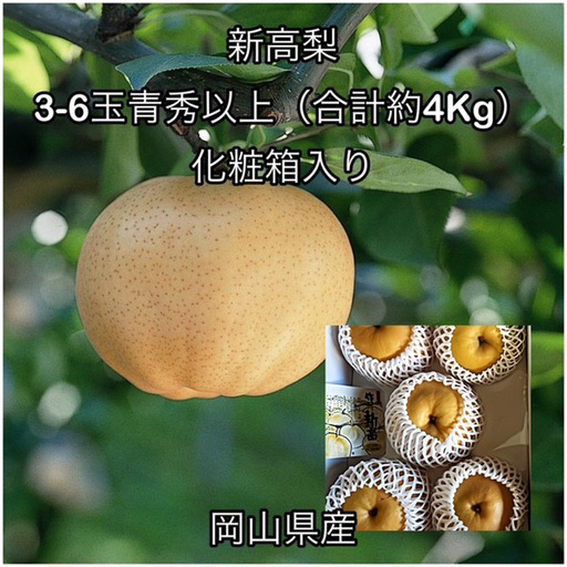 新高梨 3〜6玉 青秀以上(約4.0kg) 岡山県産