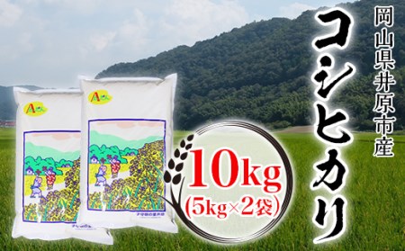 63-04井原市美星町産コシヒカリ10kg(5kg×2袋)