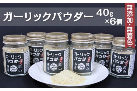 A-45ガーリックパウダー40g×6個