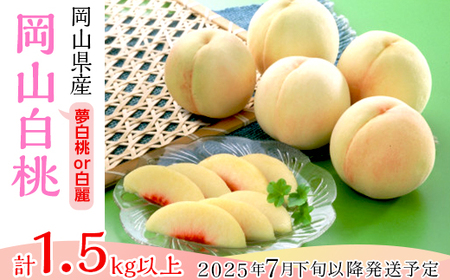 74-14岡山県産 岡山白桃5〜7玉(夢白桃もしくは白麗)[2024年7月下旬〜8月上旬発送予定]
