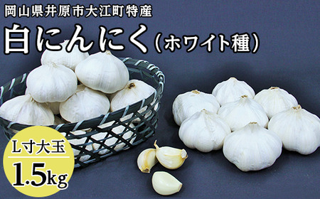 C-15白にんにく(L寸大玉)1.5kg