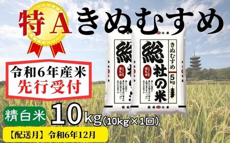 【令和6年産】特Aきぬむすめ【精白米】10kg 岡山県総社市産米〔令和6年12月配送〕24-011-014