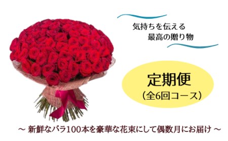 [腕いっぱいの美しいバラ100本](偶数月にお届け、年6回)600-001