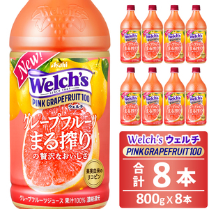 Welch'siEF`jsNO[vt[c100i800g×8{j015-044