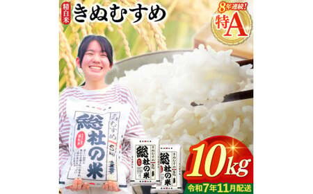 [令和7年産]特Aきぬむすめ[精白米]10kg 岡山県総社市〔令和7年11月配送〕25-017-001