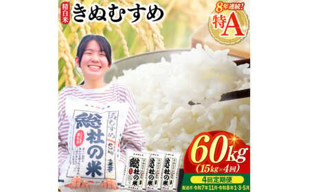 【令和7年産米】特Aきぬむすめ【精白米】60kg 定期便（15kg×4回）岡山県総社市〔令和7年11月・令和8年1月・3月・5月配送〕25-120-007