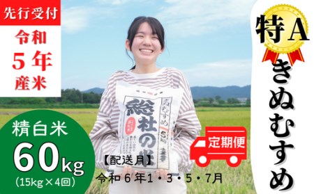 令和5年産米】特Aきぬむすめ【精白米】60kg定期便（15㎏×4回）岡山県