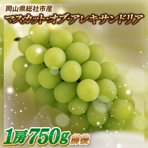 ぶどう「マスカットオブアレキサンドリア」 岡山県総社市産[2025年産先行予約]25-019-001