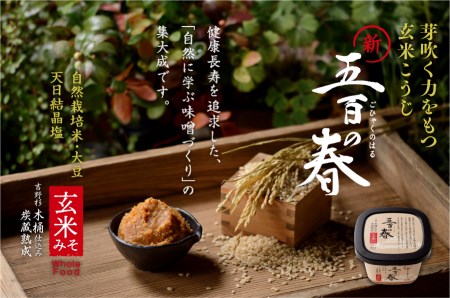 五百の春(玄米味噌)750g[まるみ麹本店]013-001