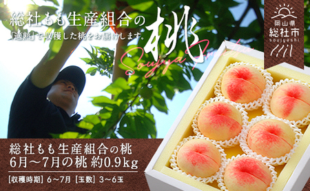 6月～7月の桃（約0.9kg）岡山県総社もも生産組合【2024年産先行予約】24-012-003