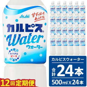 yցzJsXEH[^[i500mL×24{jk12zl156-001