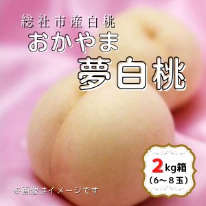 岡山の白桃 ２箱 清水白桃 おかやま夢白桃 3.7キロ箱 - 果物