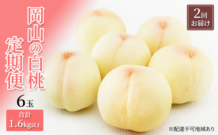   2026N s\ R   6 v1.6kgȏ×2 ͂ ϔ   RY Y t[c ʕ Mtg