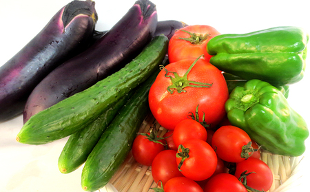  2024年 先行予約  野菜 7種おまかせセット 岡山 高梁市産 やさい 有機農産物 夏