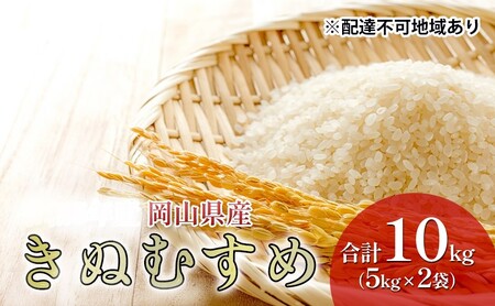 米 特A ランク きぬむすめ 10kg (5kg×2袋) 令和6年産 こめ コメ 白米 岡山県産