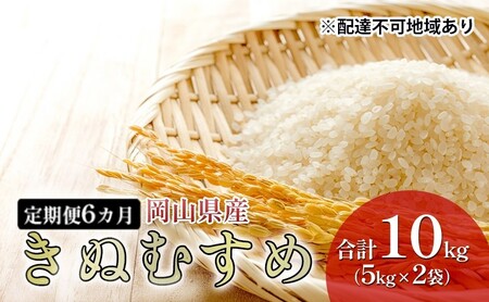 米 [ 定期 便 6ヶ月 ] 特Aランク きぬむすめ 10kg (5kg×2袋) 令和6年産 こめ コメ 白米 岡山県産