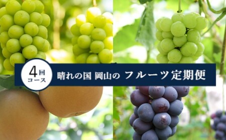 [2025年 先行予約 ]晴れの国 岡山 の フルーツ 定期便 4回コース 岡山県産 葡萄 ぶどう 梨 なし