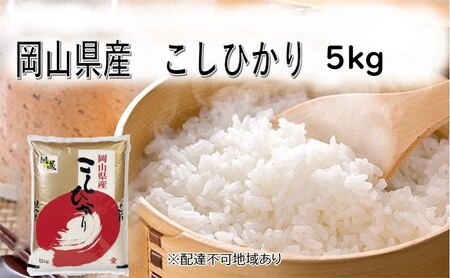 [天満屋 選定品] 岡山県産 こしひかり 5kg 岡山 米 白米 お米