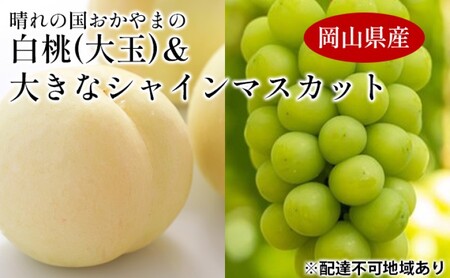 桃 ぶどう [2025年 先行予約] 晴れの国 おかやま の 白桃 大玉 1.5kg以上(4〜6玉) 大きな シャインマスカット 1房900g以上 マスカット ブドウ 葡萄 岡山県産 国産 フルーツ 果物 ギフト