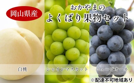 桃 ぶどう [2025年 先行予約] よくばり 果物 セット 岡山 白桃 2玉 合計600g以上 シャインマスカット 2房 合計1.2kg以上 ニュー ピオーネ 2房 合計1kg以上 岡山県産 国産 フルーツ 果物 ギフト